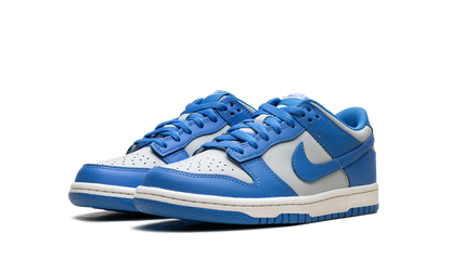 Dunk Low GS "Light Photo Blue" FB9109 004